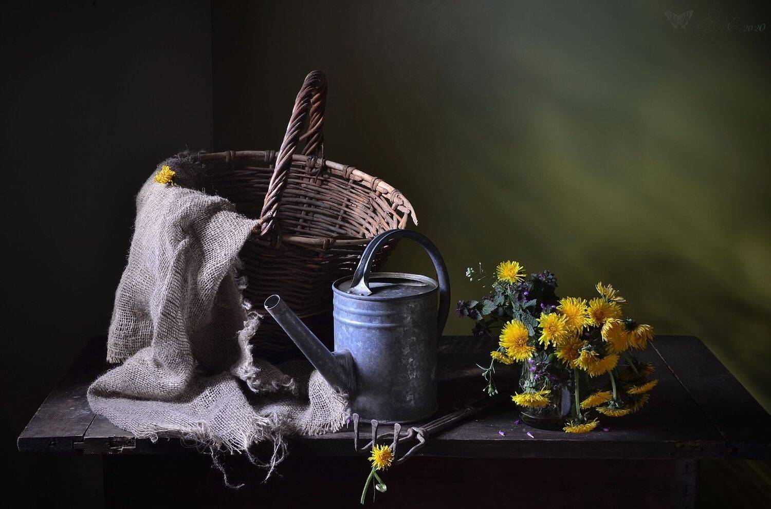 , Оксана Евкодимова