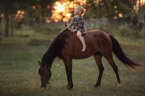 Девочка и лошадь