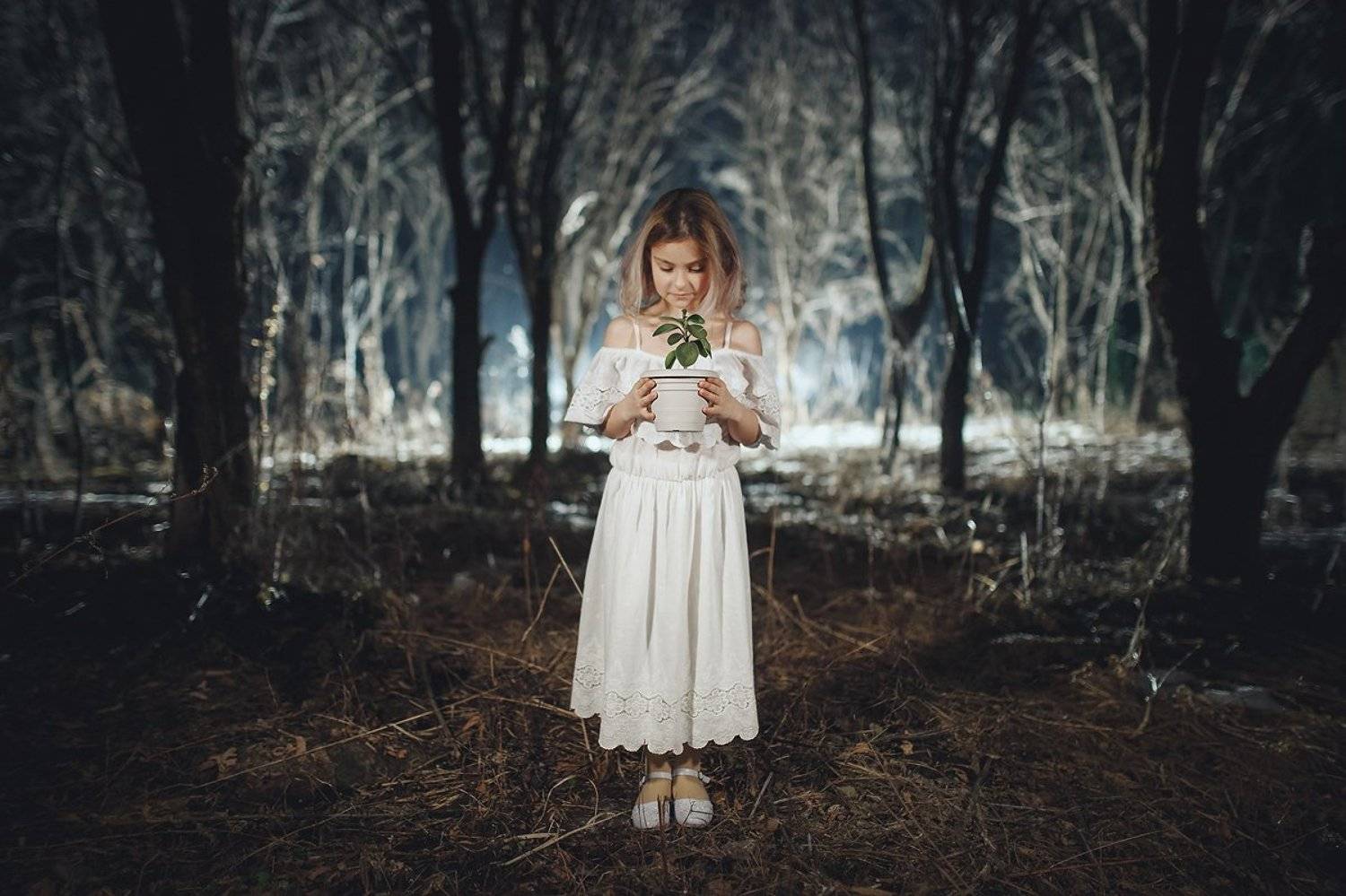 , Фадеев Алексей