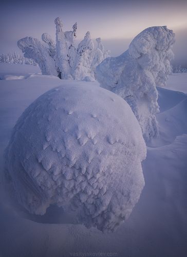 Стражи Севера