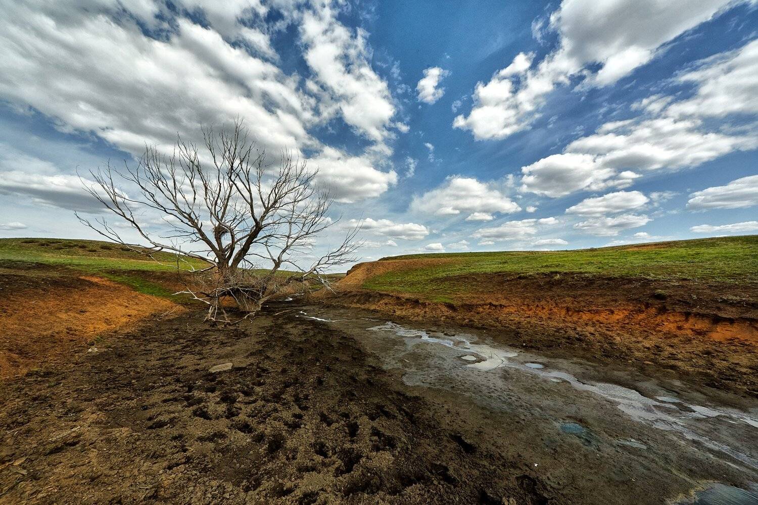 южный урал,оренбургская область, орск, новотроицк,, Качурин Алексей