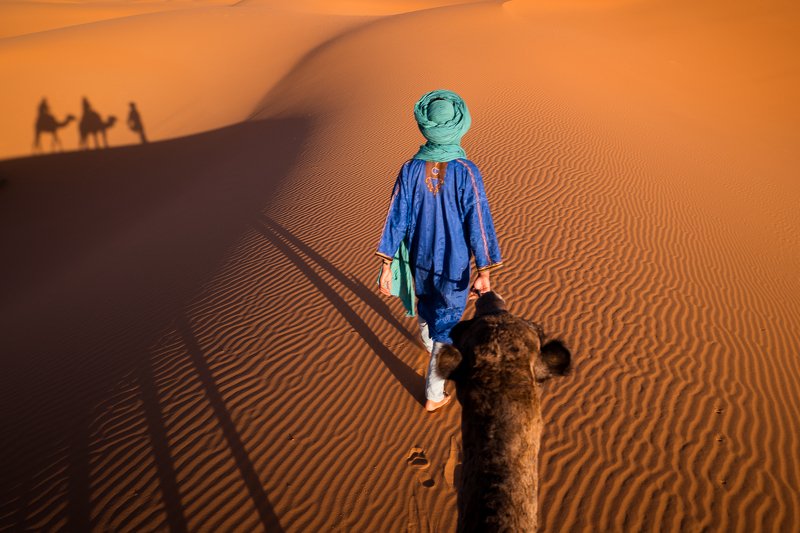 The Journey  фото превью