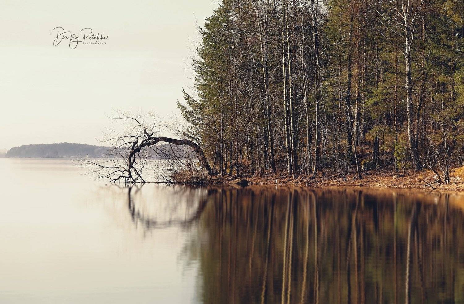 Остров, Весна, Природа, Пейзаж, Вода , Дмитрий Петухов