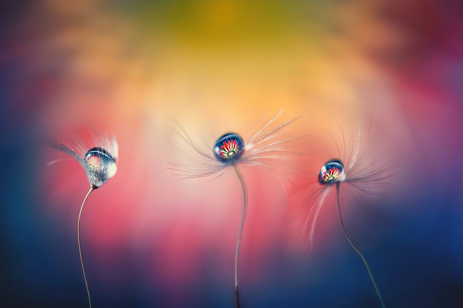 , Красимир Матаров