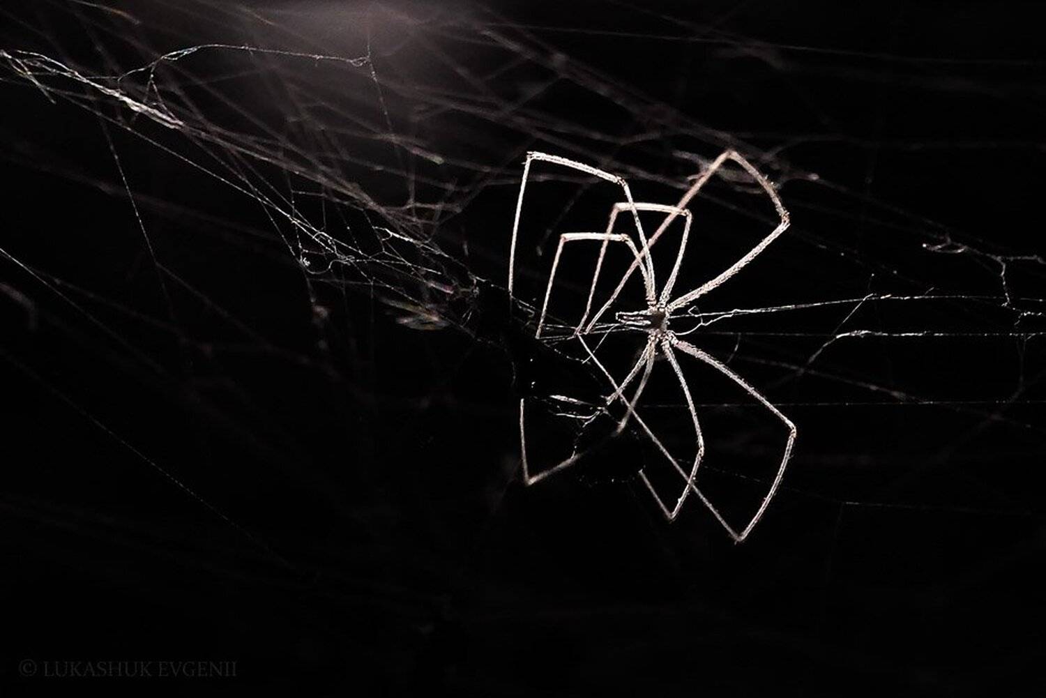 , Евгений Лукашук