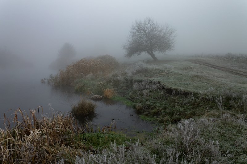 . . . фото превью