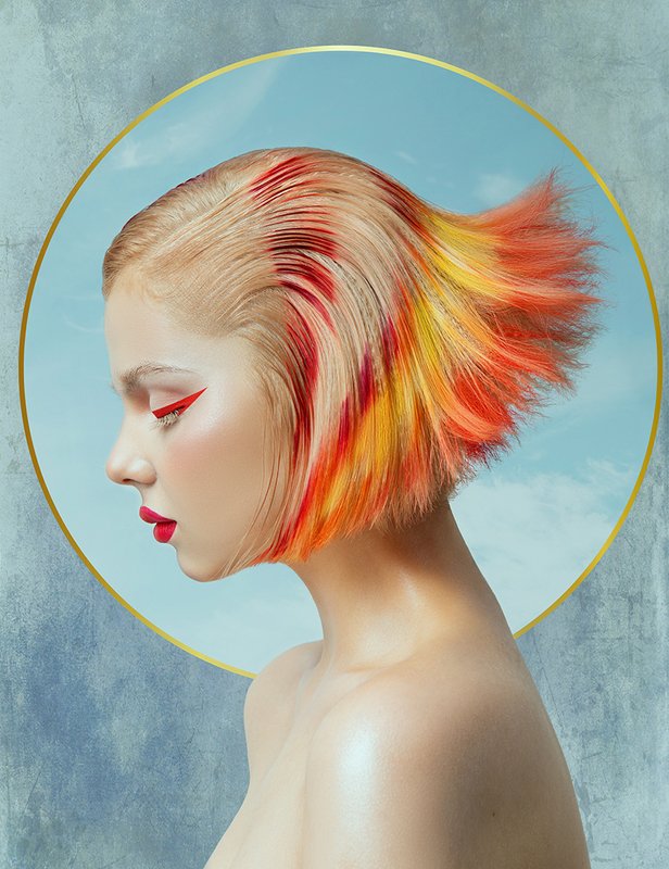 Firebird фото превью