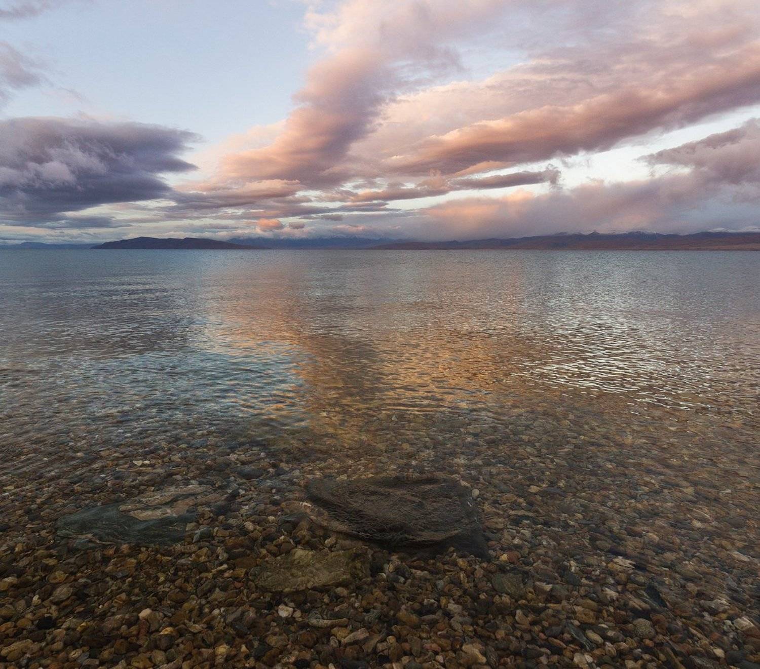 , Алексей Трофимов