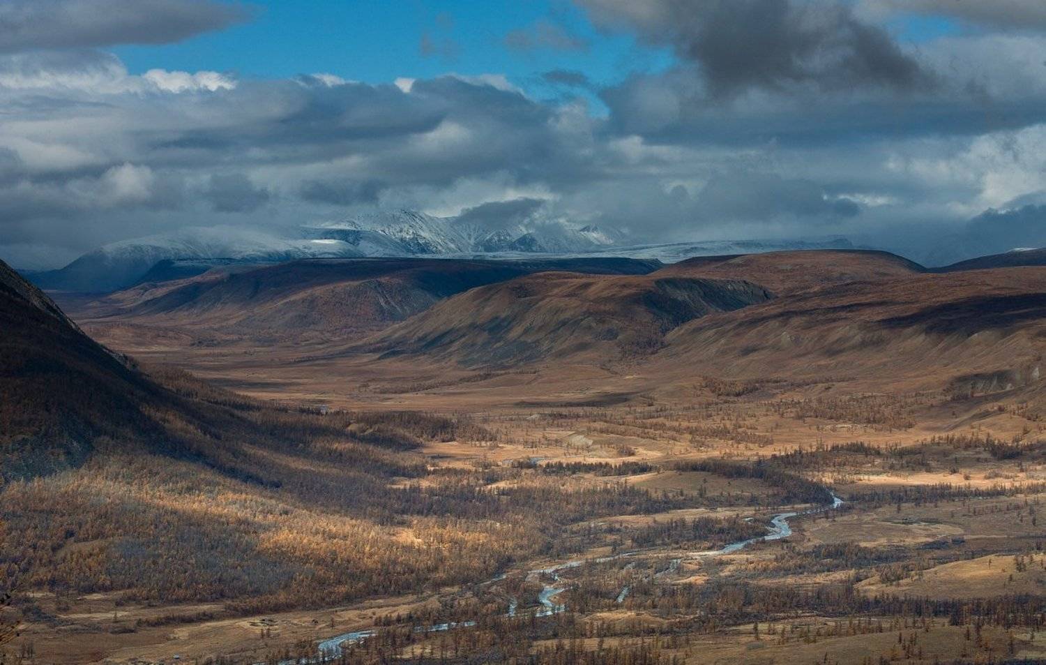 , Алексей Трофимов