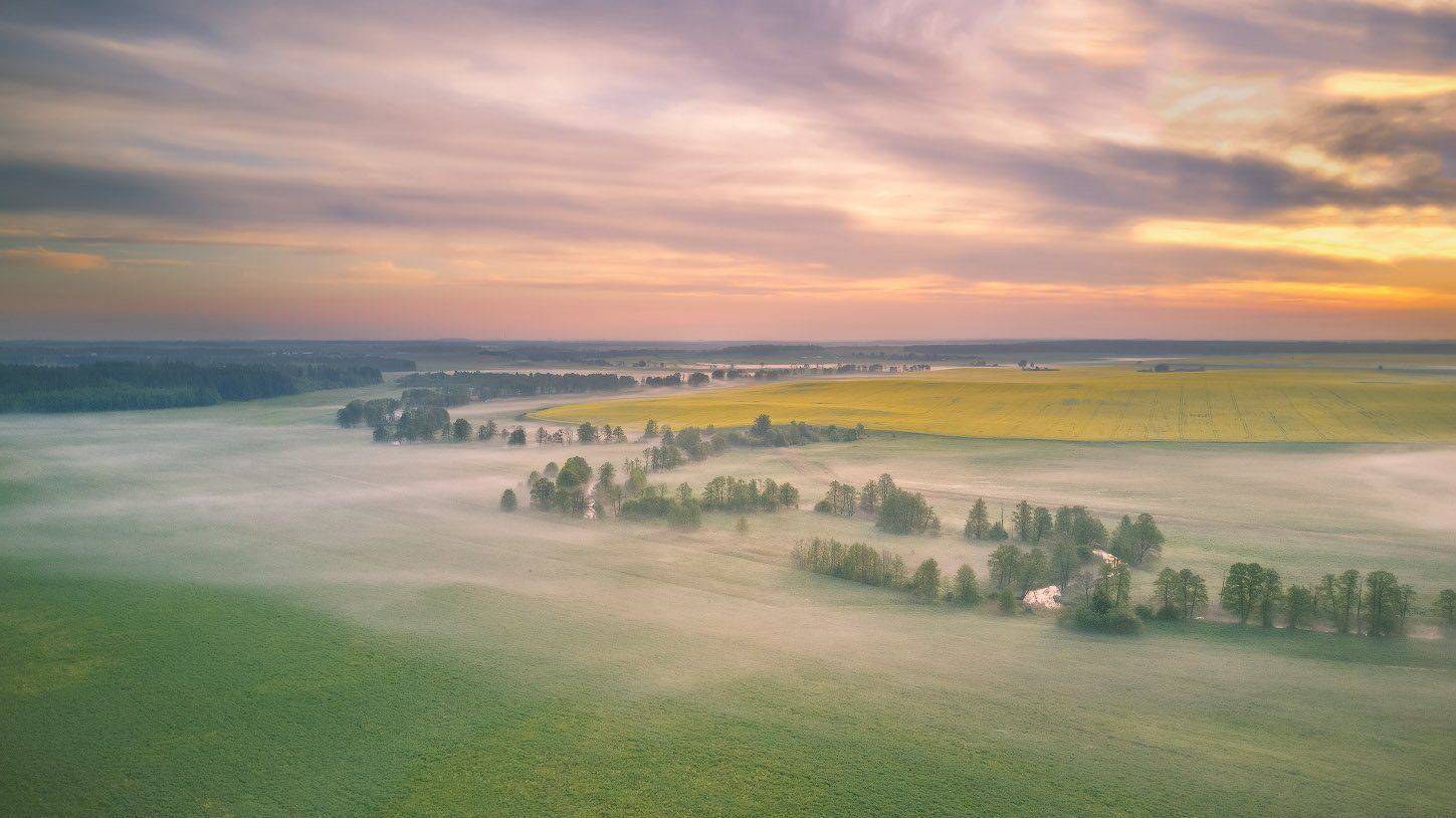 весна, май, минск и окрестности, птичь, рассвет, туман, утро, Вейзе Максим