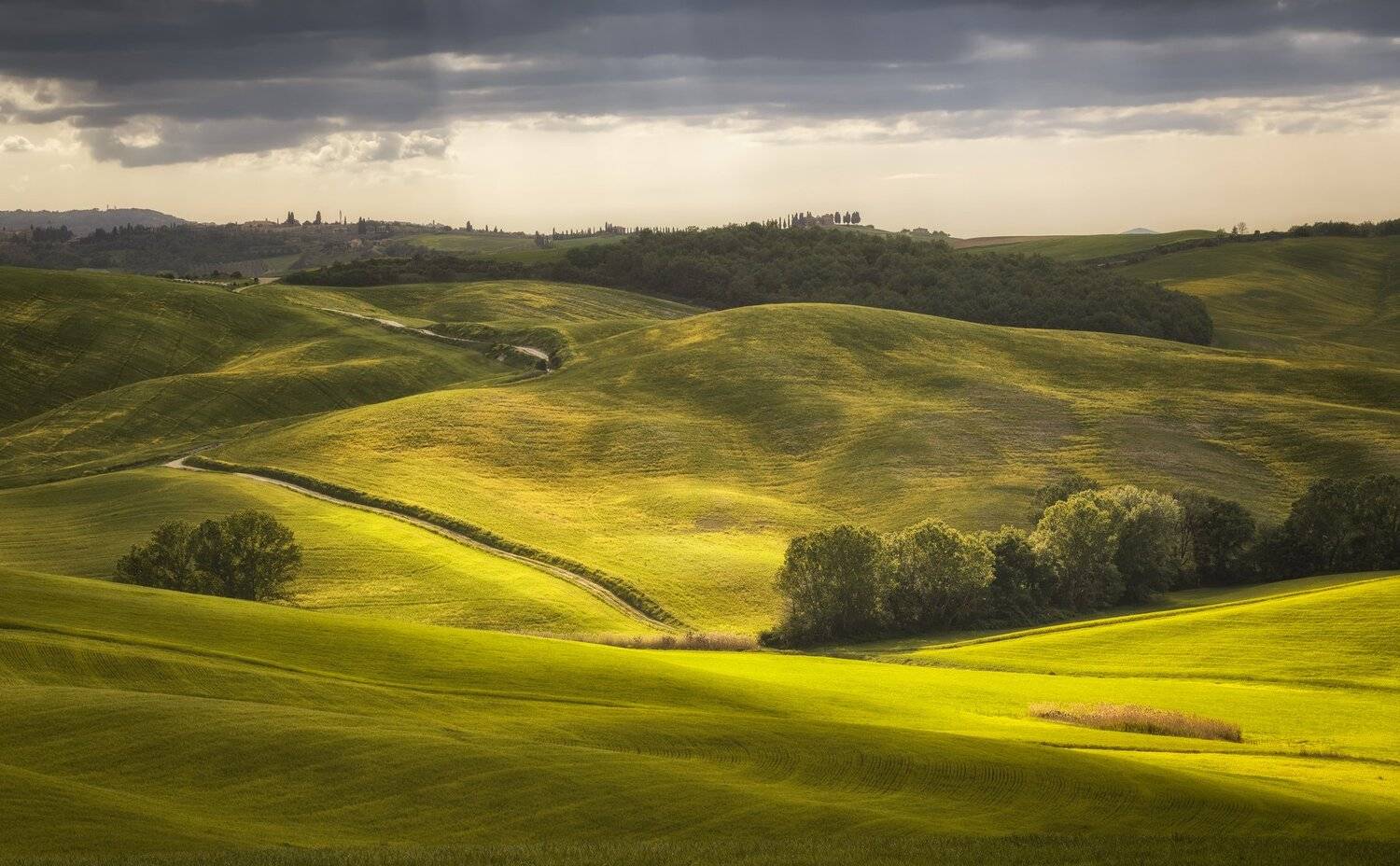 дорога, поля, тоскана, Александр Безмолитвенный