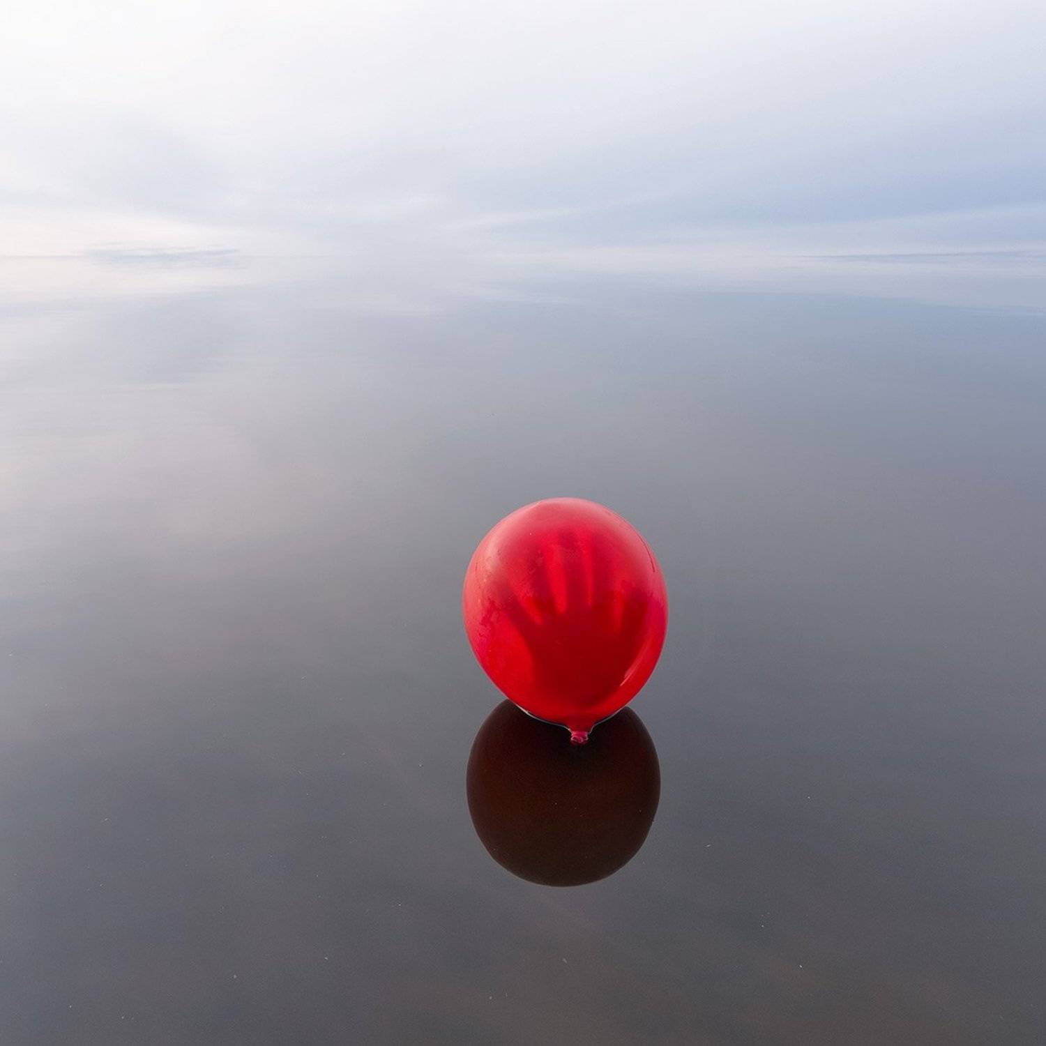 , Федотов Антон