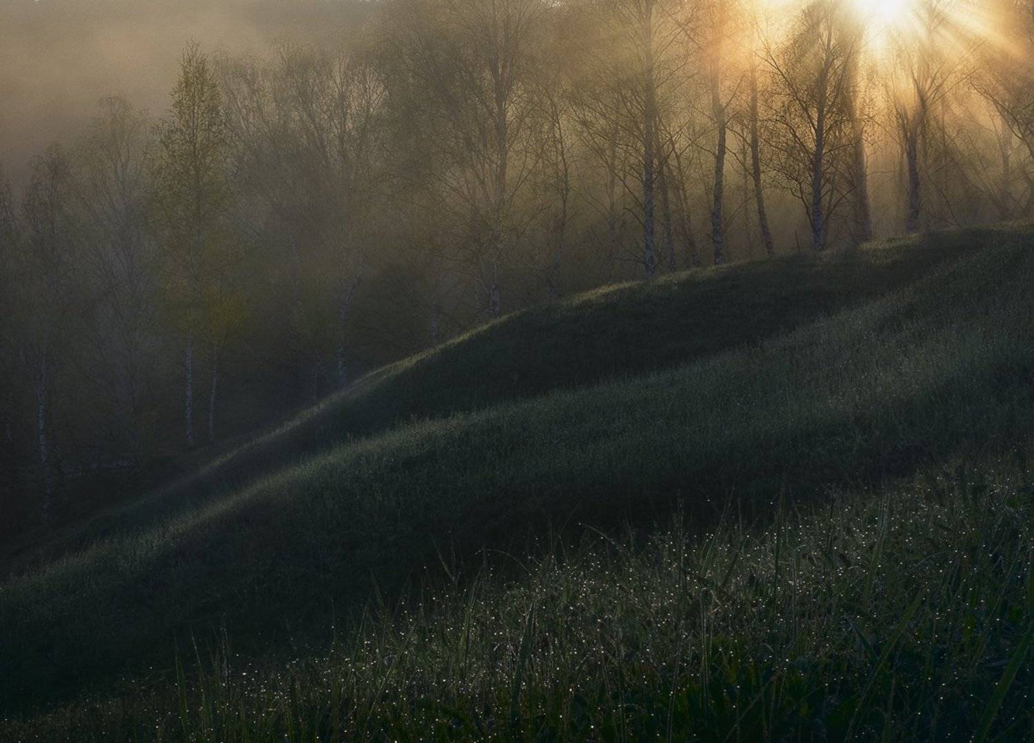 , Баранов Олег