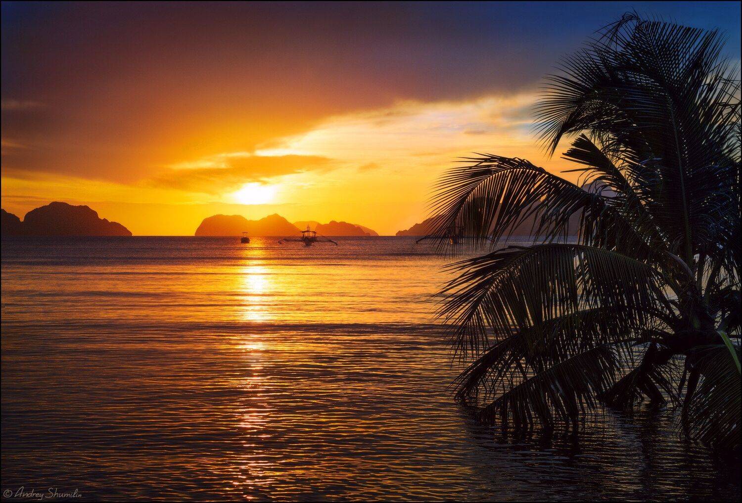 , Андрей Шумилин