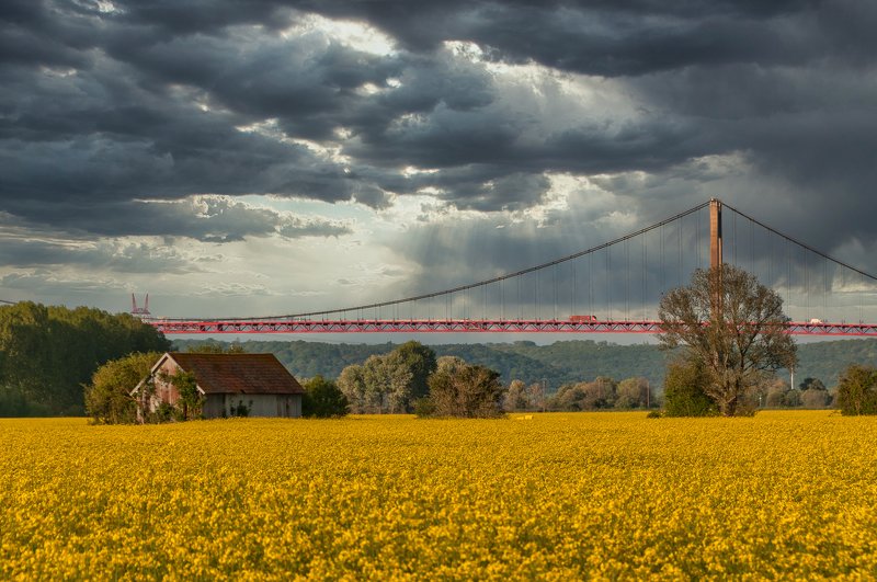 cloud; sky; sural scene; colza After the storm фото превью