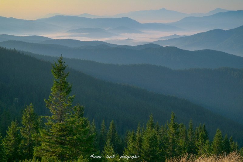#nature, #туман, #лес, #oсень, #украина, #карпаты, #пейзаж, #закат, #туман, #солнце, #свет, #mountain range, #mountains, #туризм, #лес, #nature, #природа, Карпати фото превью