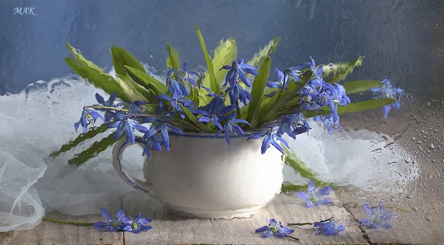 , Марина Кулакова