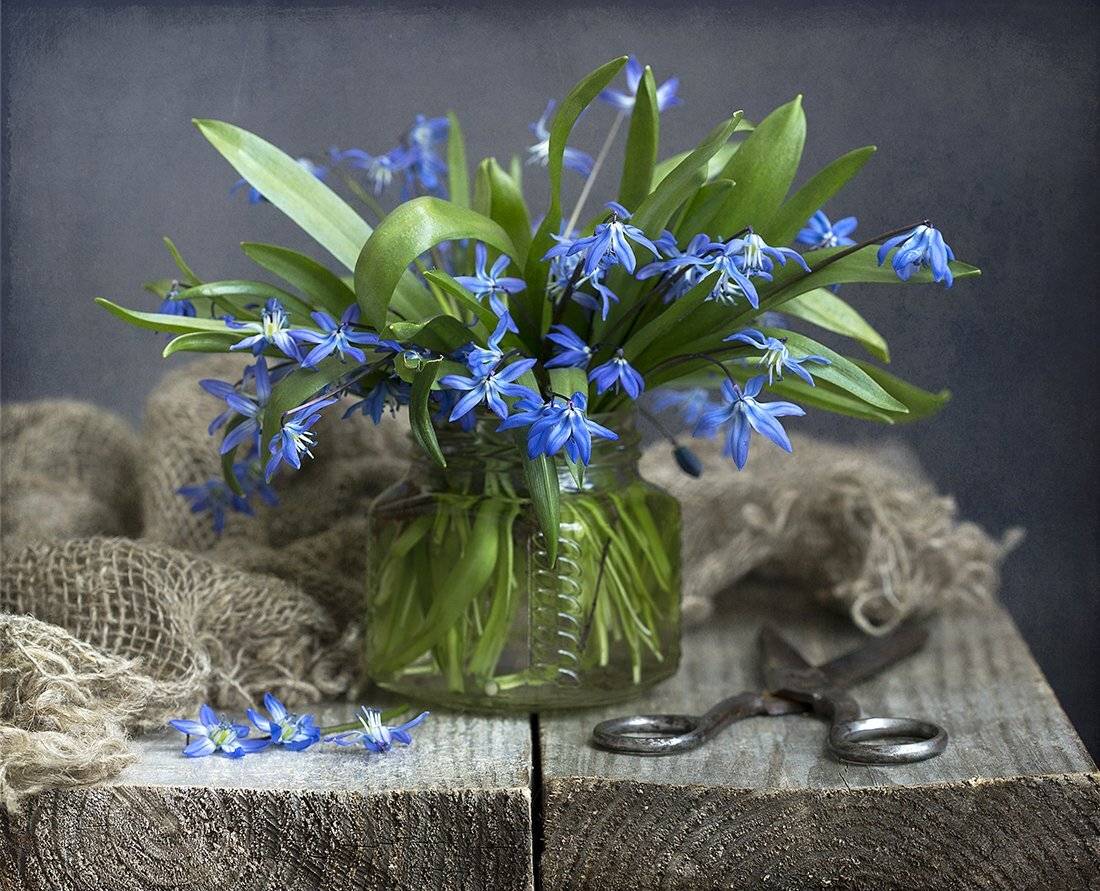 , Марина Кулакова