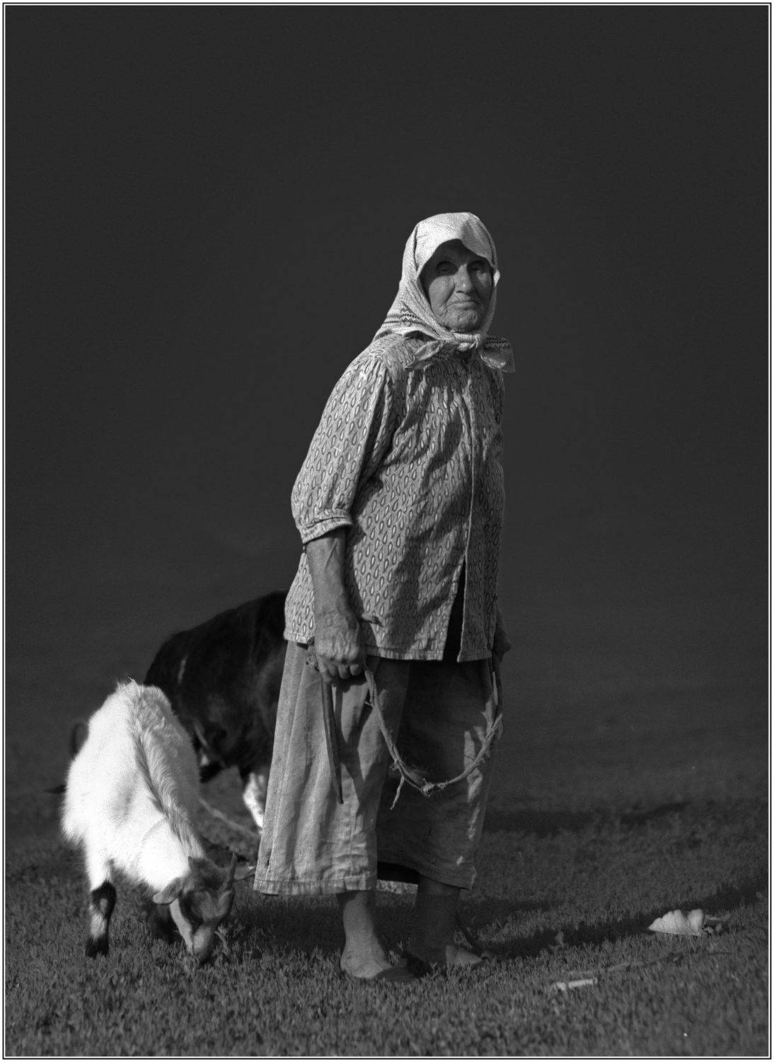 , Владимир Краснов