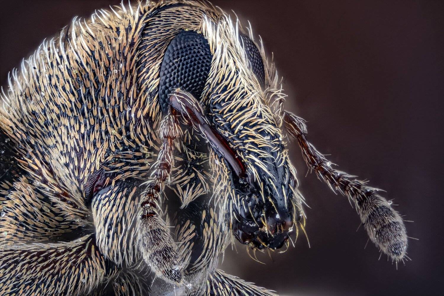 , Сергей Федоренко