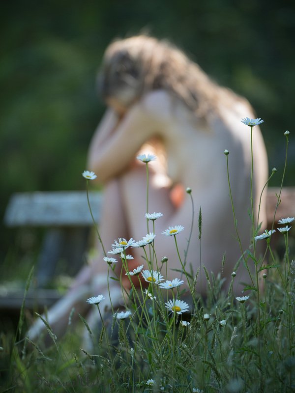 female, woman, nude, beauty, sensual,  женщина, обнаженный,  красота, чувственность, женщина Ballerina and daisies фото превью