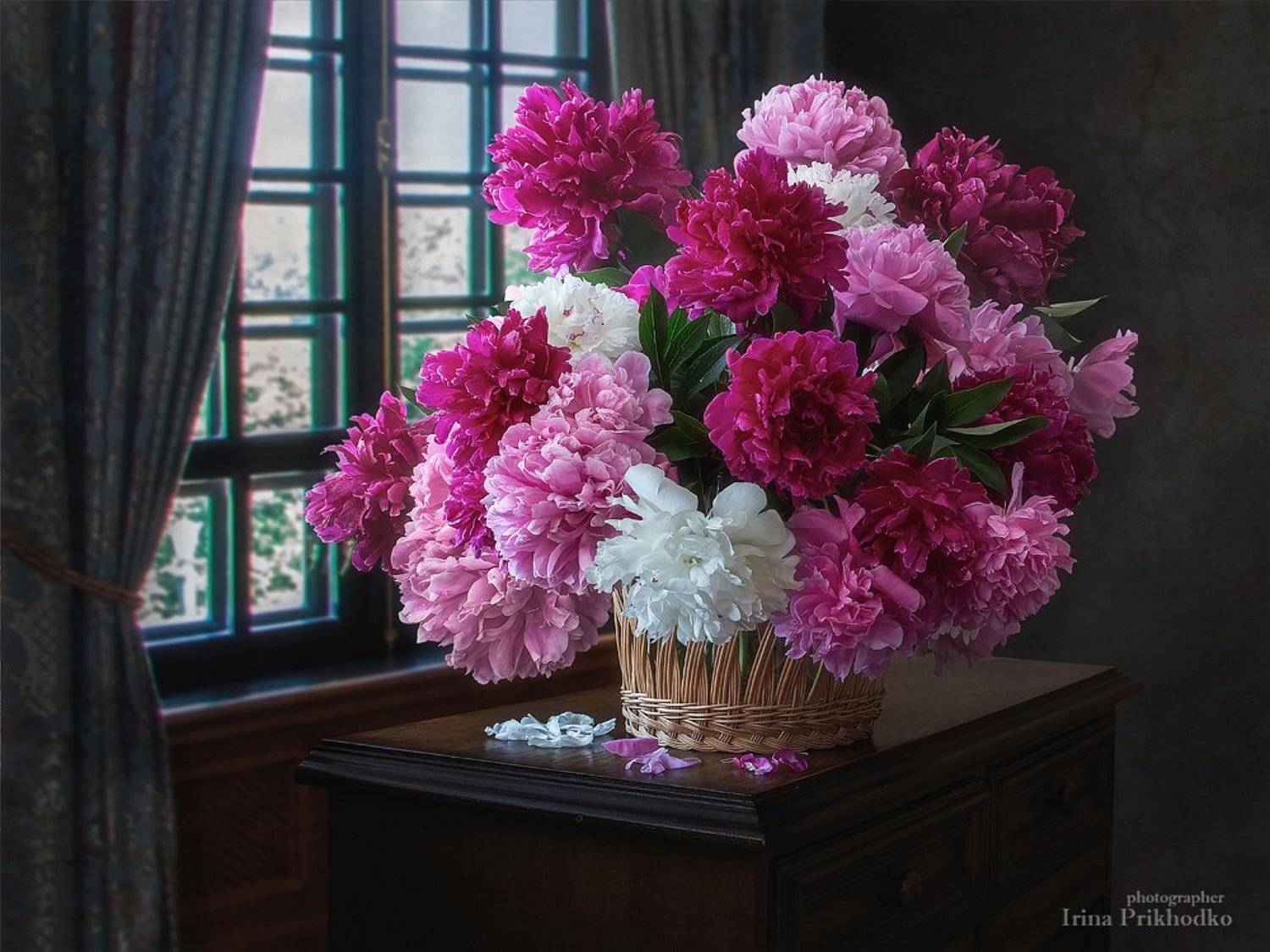 натюрморт, весна, цветы, цветочный, винтажный, пионы, Ирина Приходько