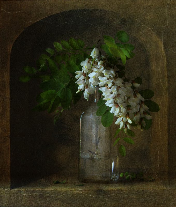 натюрморт .. с веткой акации .. фото превью