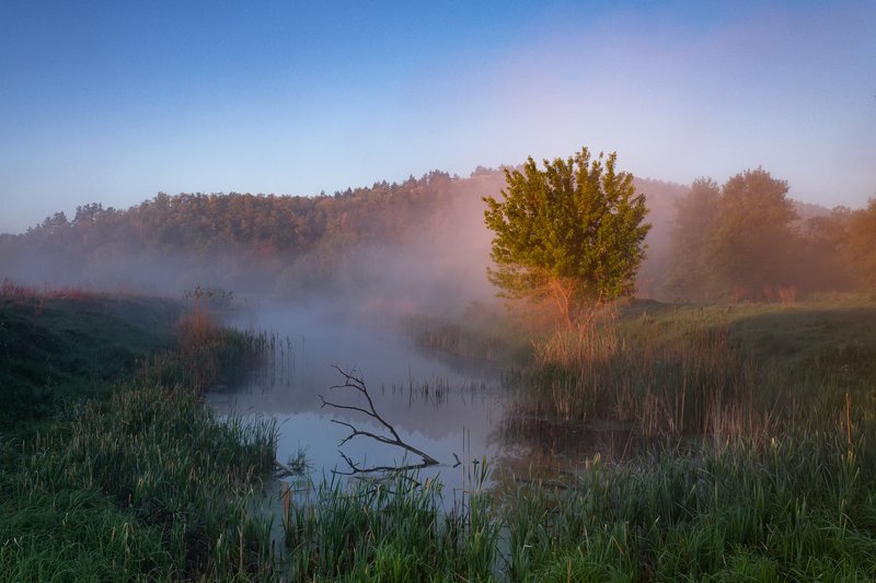 . . . фото превью