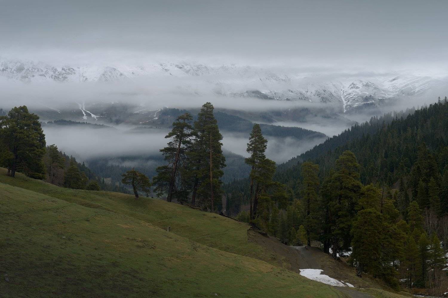 горы весна рассвет туман, Александр Жарников