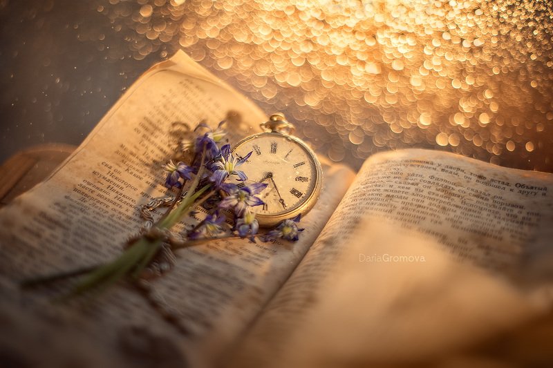 портрет, женский, портрет, дарья громова, фото, фотограф, фотосессия, фотоарт, фотопортрет, часы, время, книга, закат Время волшебства фото превью