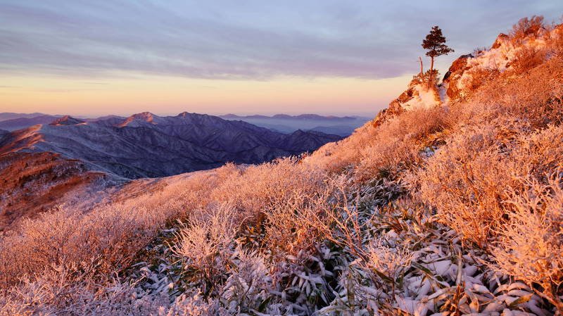 south korea, jeollabukdo, winter, fog, tree, mountain, rime ice, sunlight, cloud, morning light, landscape, Winter morning sunlight фото превью