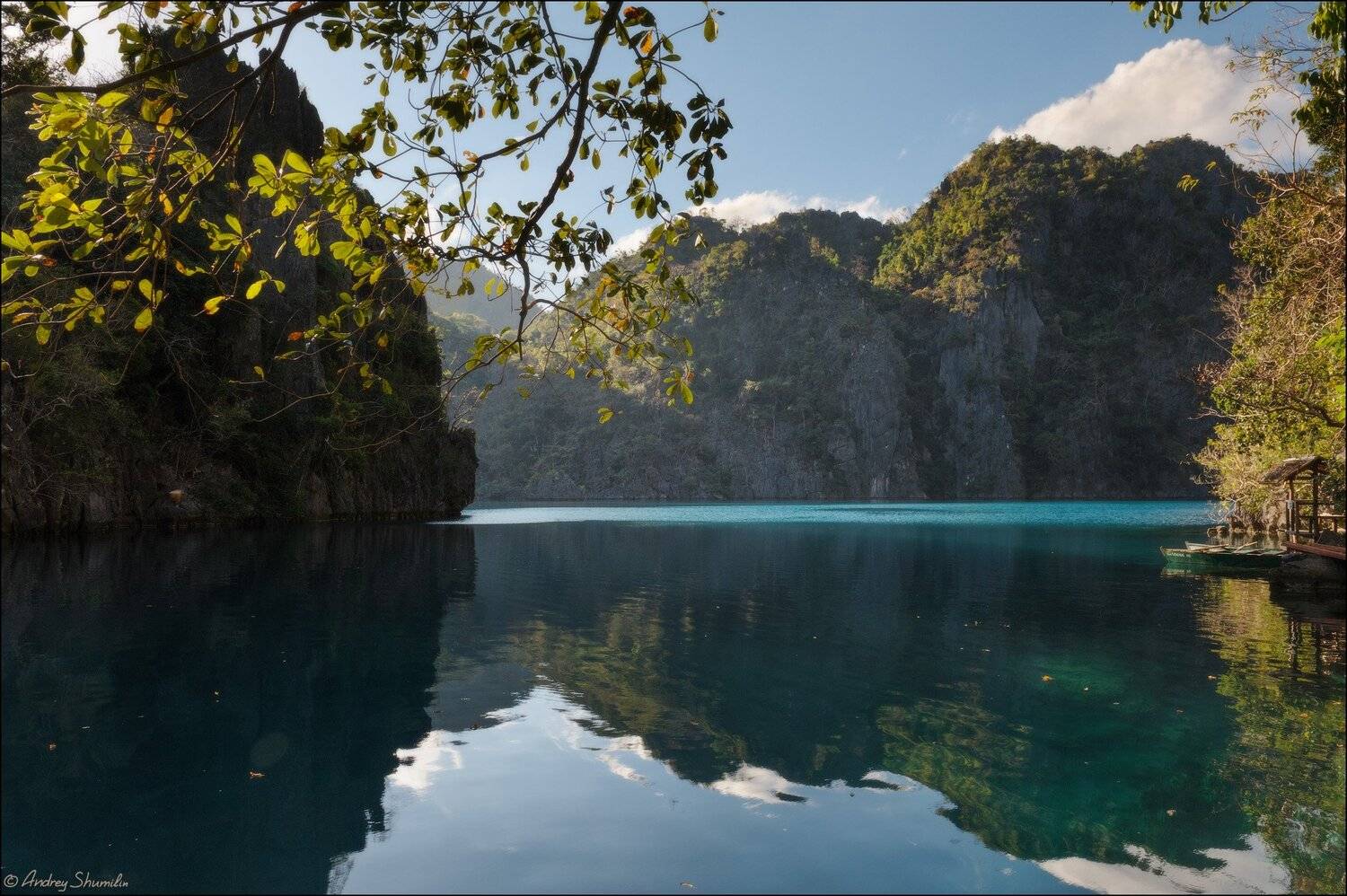 , Андрей Шумилин