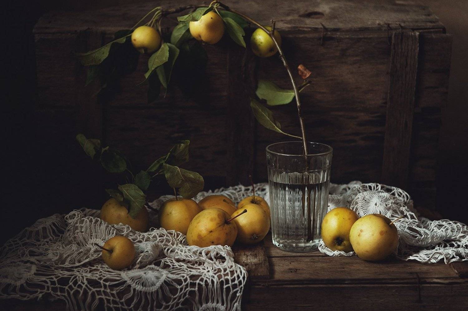 натюрморт, яблоки, Бабинцева Мария