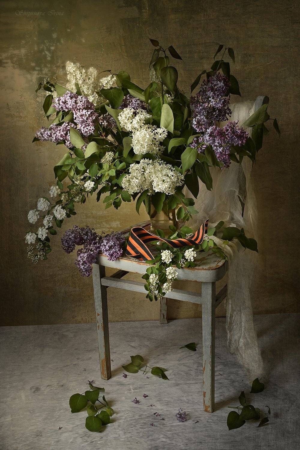 , Шипунова Ирина