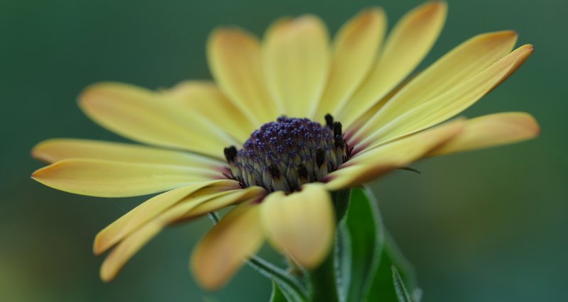 *11 фото превью