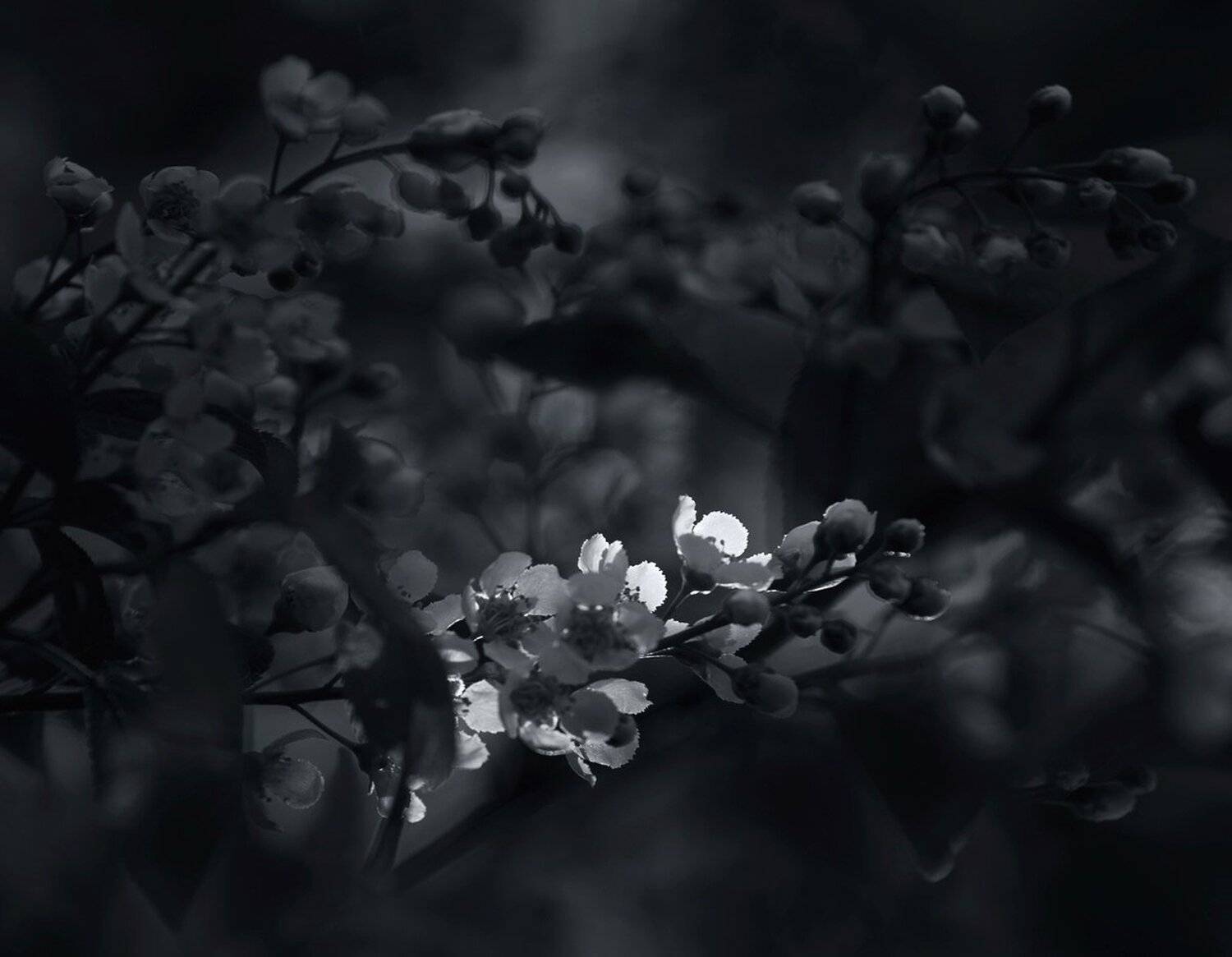 , Баранов Олег