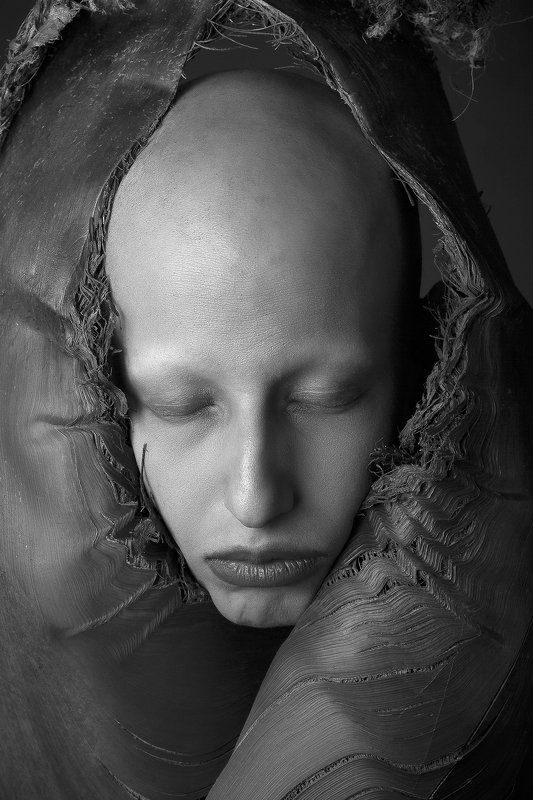 Roya фото превью