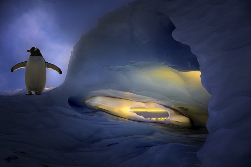 Ice Ice Baby фото превью