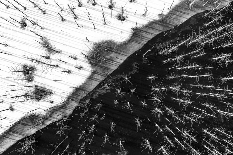 #air #aerial #drone #nature #blackandwhite #abstract #lake #trees #forest #romania #winter #ice #snow #deadtrees Yin and Yang фото превью