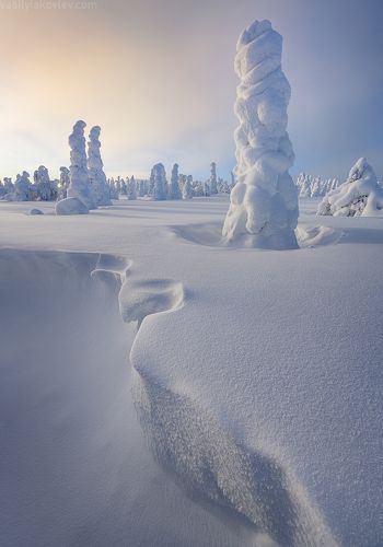 В зимней сказке