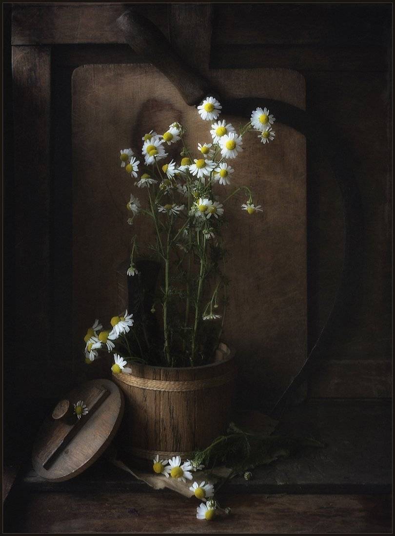 , Александр Хромеев