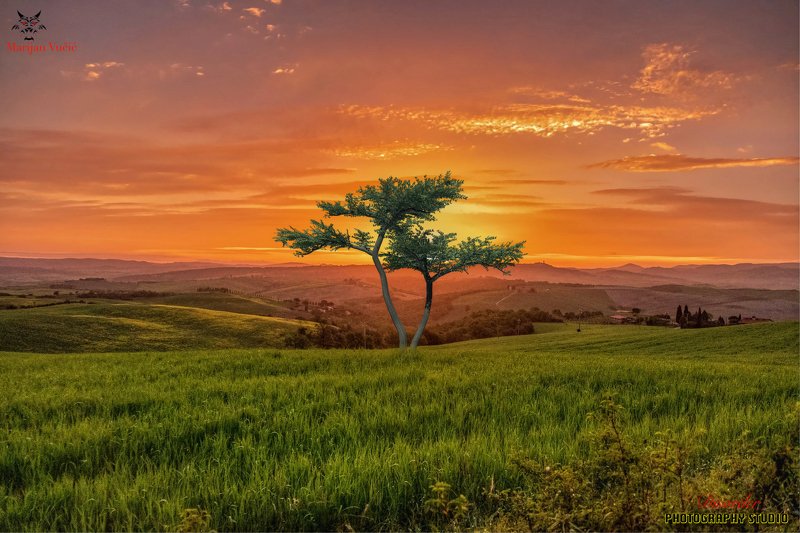 MVD фото превью