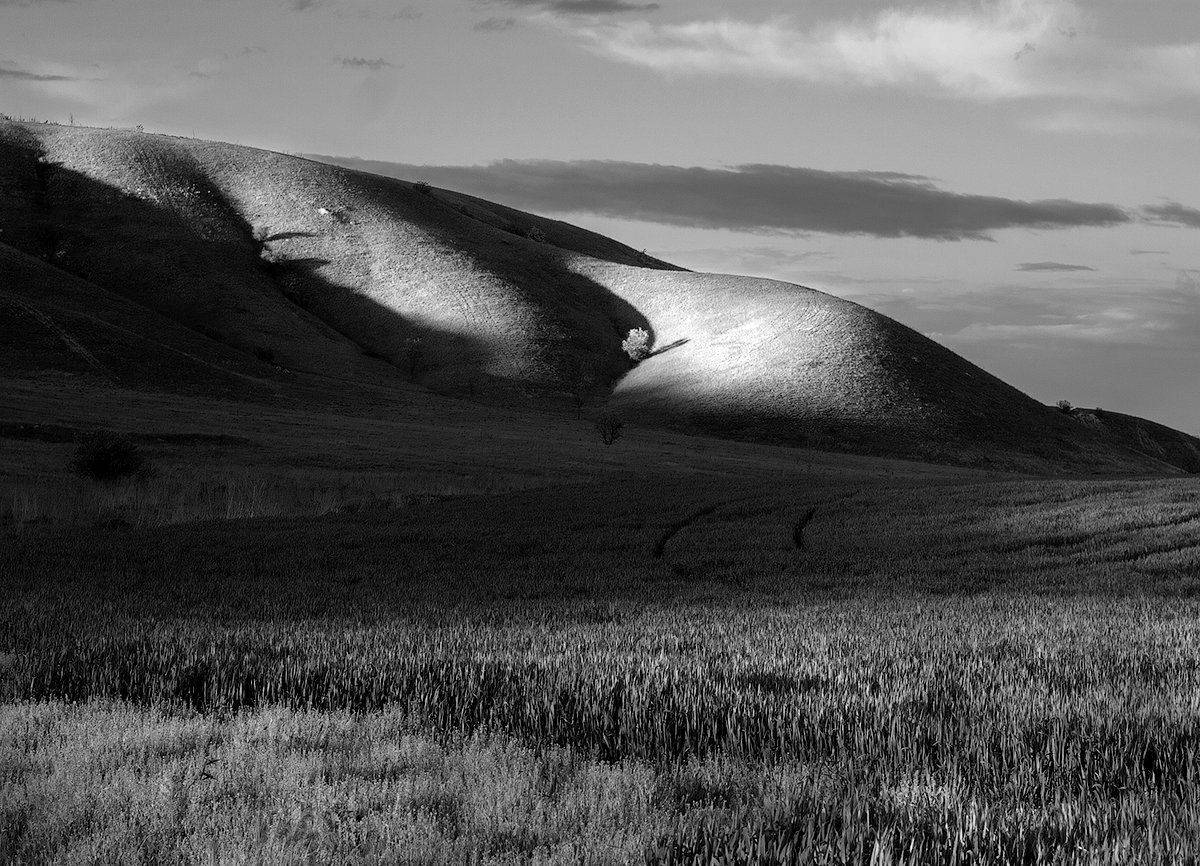 , Дитковский Евгений