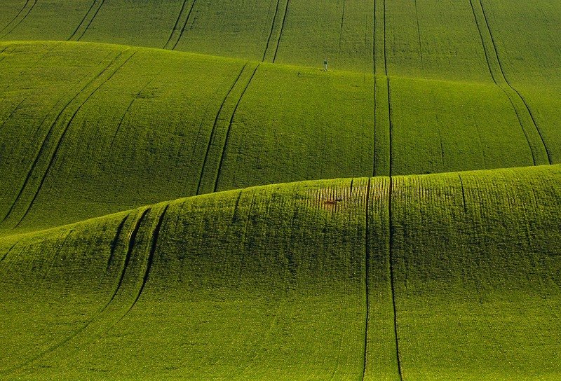moravian tuscany Carpet фото превью