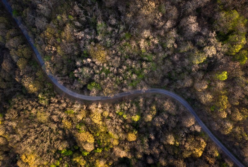 The Curve фото превью