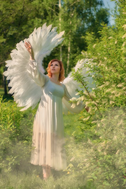 Черёмуховый ангел фото превью