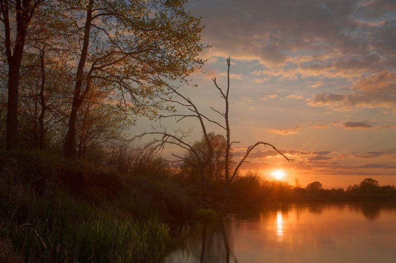 Май 2020. Закат фото превью