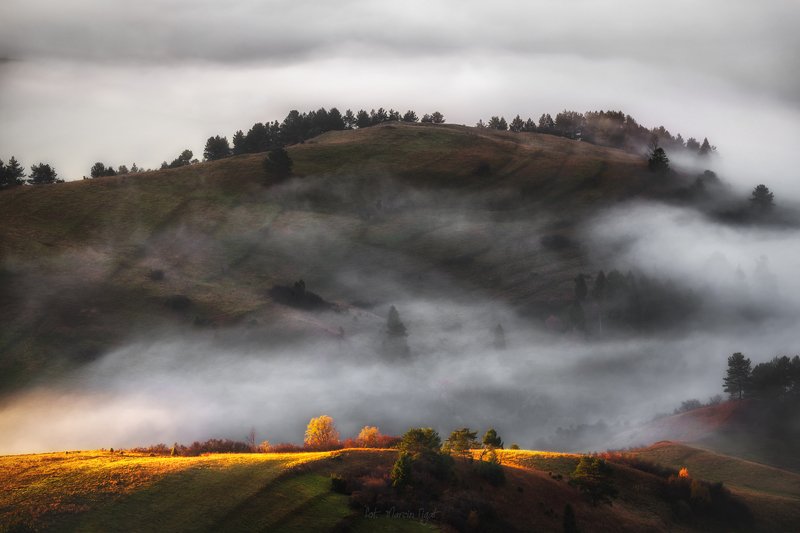 Autumn light. фото превью
