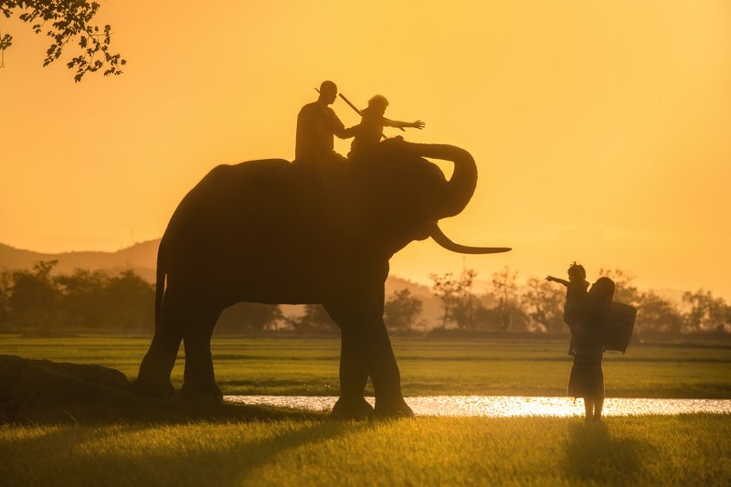 Return home  фото превью