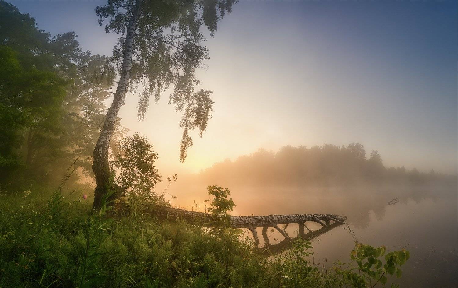 , Алексей Богорянов